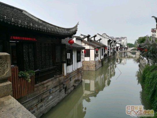 胖小猫救援